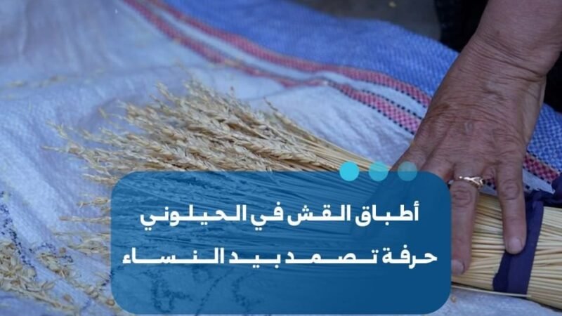 מלאכת קליעת הקש: מורשת נשית ששורדת באזור הכפרי של מסייאף